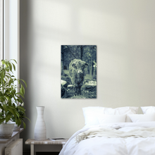 Load image into Gallery viewer, "KALV" - Aluminum Print