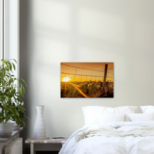 Load image into Gallery viewer, "SAUER I SOLNEDGANG" - Aluminum Print