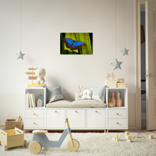 Load image into Gallery viewer, "Morforsommerfugl" - Aluminum Print