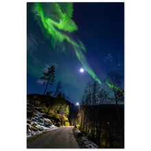 Load image into Gallery viewer, "Dancing in the moonlight" - Aluminum Print