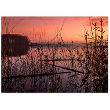 Load image into Gallery viewer, "STILLE RO" - Aluminum Print