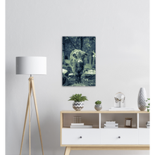 Load image into Gallery viewer, "KALV" - Aluminum Print