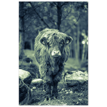 Load image into Gallery viewer, "KALV" - Aluminum Print