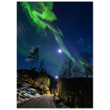 Load image into Gallery viewer, "Dancing in the moonlight" - Aluminum Print