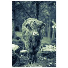 Load image into Gallery viewer, "KALV" - Aluminum Print