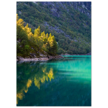 Load image into Gallery viewer, "Bondhusvatnet" - Aluminum Print