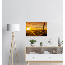 Load image into Gallery viewer, "SAUER I SOLNEDGANG" - Aluminum Print