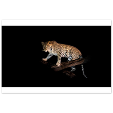 Load image into Gallery viewer, Aluminum Print Wallart

